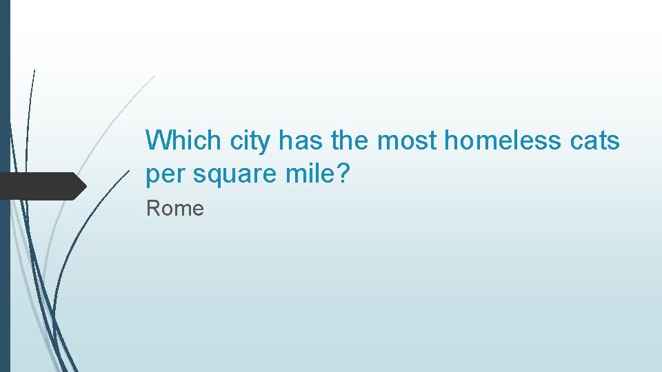 Which city has the most homeless cats per square mile? Rome 