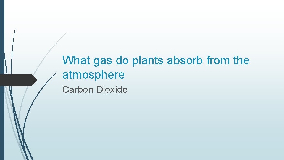 What gas do plants absorb from the atmosphere Carbon Dioxide 