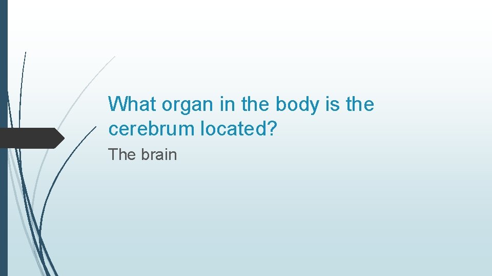 What organ in the body is the cerebrum located? The brain 