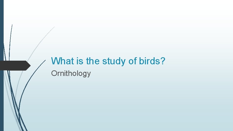 What is the study of birds? Ornithology 