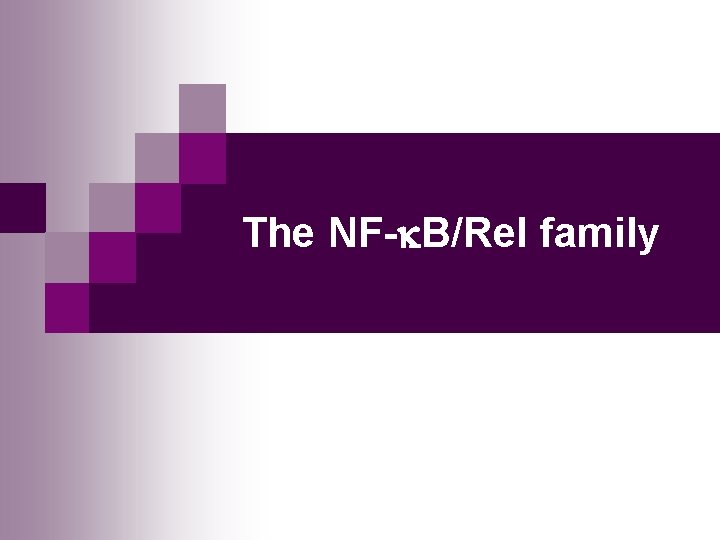 The NF- B/Rel family 