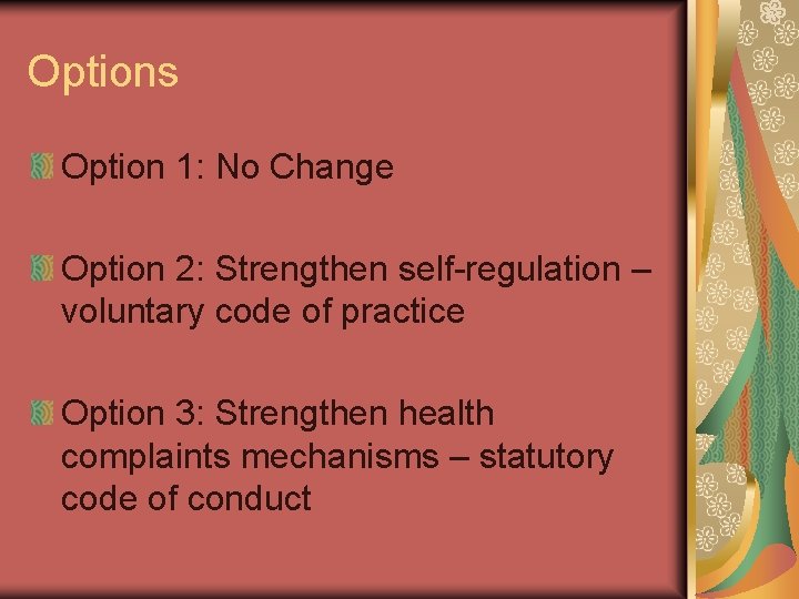Options Option 1: No Change Option 2: Strengthen self-regulation – voluntary code of practice