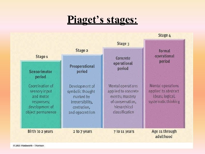 Piaget’s stages: 