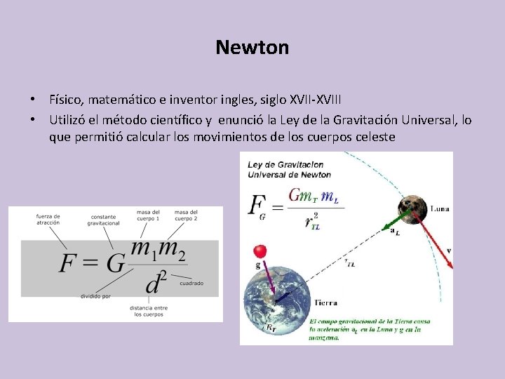 Newton • Físico, matemático e inventor ingles, siglo XVII-XVIII • Utilizó el método científico