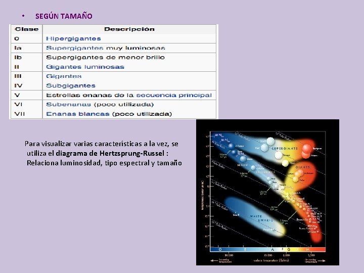  • SEGÚN TAMAÑO Para visualizar varias características a la vez, se utiliza el