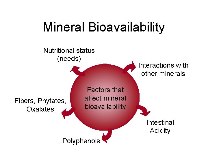 Mineral Bioavailability Nutritional status (needs) Fibers, Phytates, Oxalates Interactions with other minerals Factors that Mineral Bioavailability Nutritional status (needs) Fibers, Phytates, Oxalates Interactions with other minerals Factors that