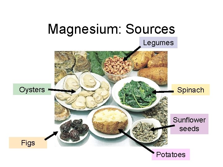 Magnesium: Sources Legumes Oysters Spinach Sunflower seeds Figs Potatoes Magnesium: Sources Legumes Oysters Spinach Sunflower seeds Figs Potatoes