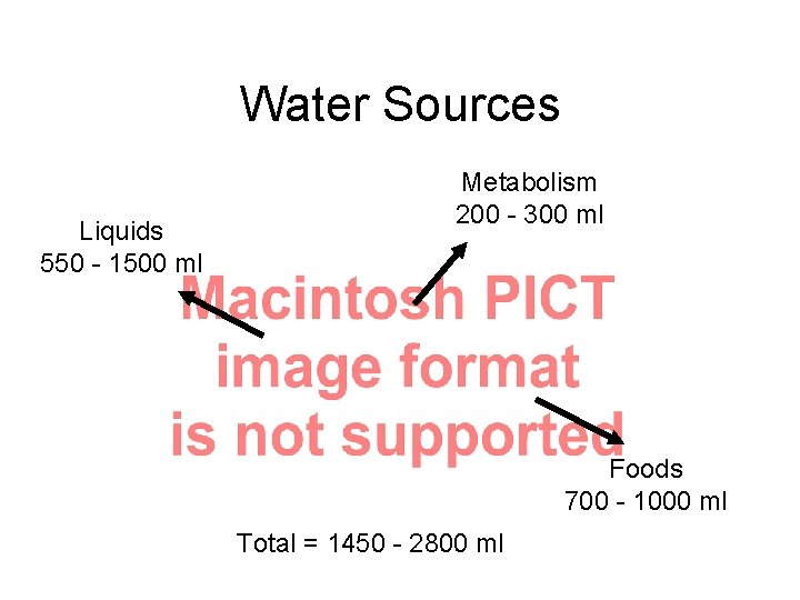 Water Sources Liquids 550 - 1500 ml Metabolism 200 - 300 ml Foods 700 Water Sources Liquids 550 - 1500 ml Metabolism 200 - 300 ml Foods 700