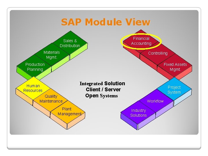 SAP Module View Sales & Distribution Financial Accounting Materials Mgmt. Controlling Fixed Assets Mgmt.