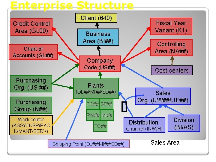 Enterprise Structure Client (640) Credit Control Area (GL 00) Business Area (BI##) Chart of
