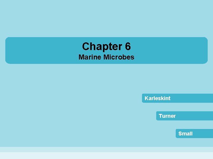 Chapter 6 Marine Microbes Karleskint Turner Small 