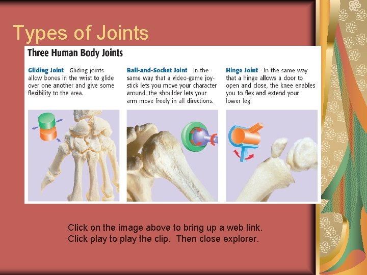 Types of Joints Click on the image above to bring up a web link.