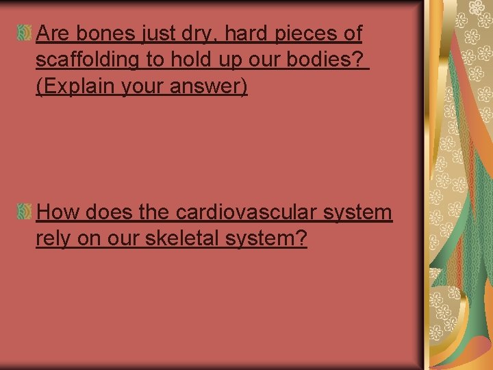 Are bones just dry, hard pieces of scaffolding to hold up our bodies? (Explain