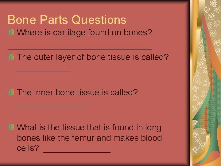 Bone Parts Questions Where is cartilage found on bones? _______________ The outer layer of