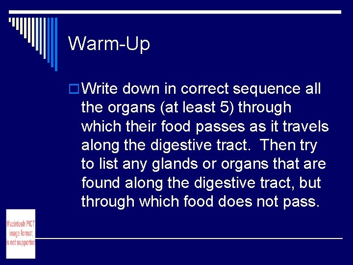 Warm-Up o Write down in correct sequence all the organs (at least 5) through Warm-Up o Write down in correct sequence all the organs (at least 5) through