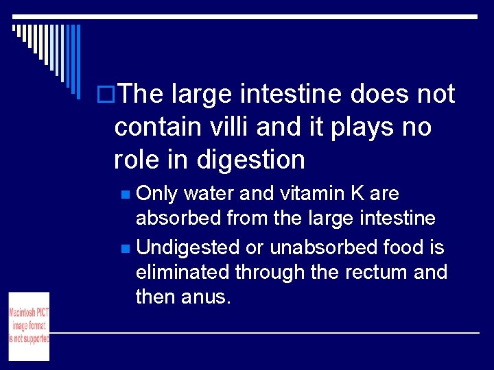o. The large intestine does not contain villi and it plays no role in o. The large intestine does not contain villi and it plays no role in