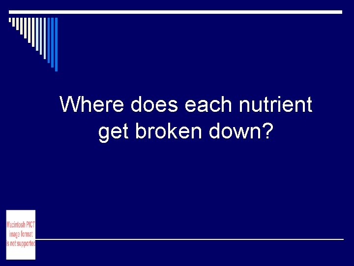 Where does each nutrient get broken down? Where does each nutrient get broken down?