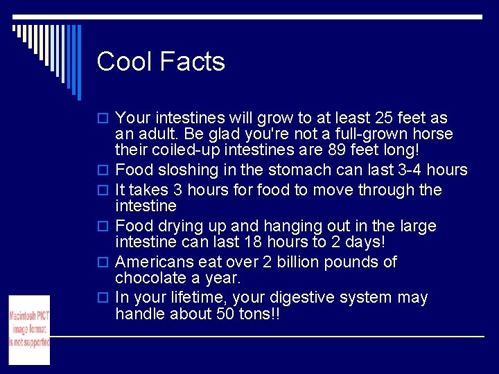 Cool Facts o Your intestines will grow to at least 25 feet as o Cool Facts o Your intestines will grow to at least 25 feet as o