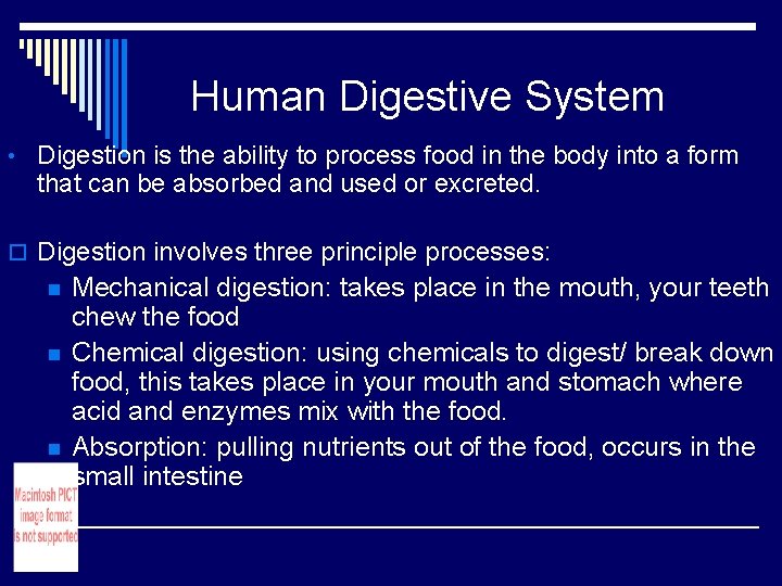 Human Digestive System • Digestion is the ability to process food in the body Human Digestive System • Digestion is the ability to process food in the body