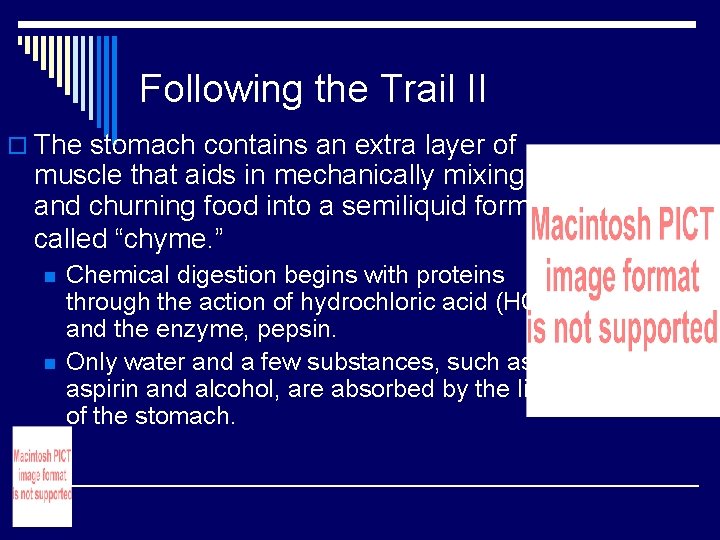 Following the Trail II o The stomach contains an extra layer of muscle that Following the Trail II o The stomach contains an extra layer of muscle that