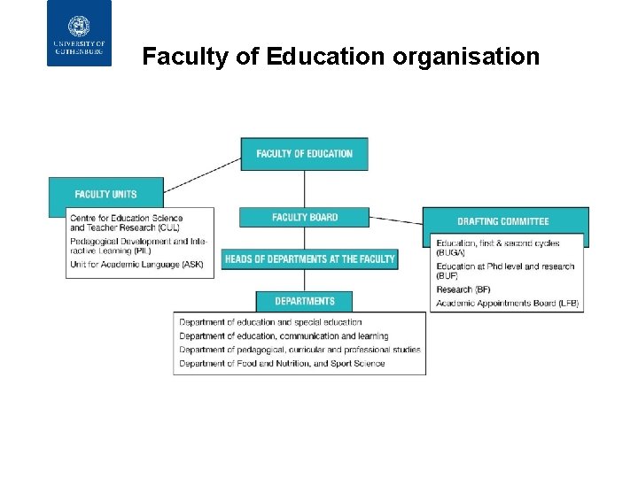 Faculty of Education organisation 