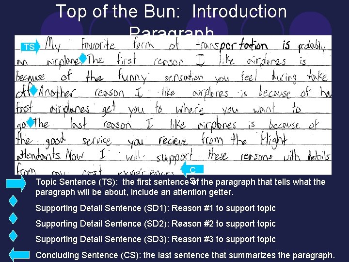 TS Top of the Bun: Introduction Paragraph C S Topic Sentence (TS): the first