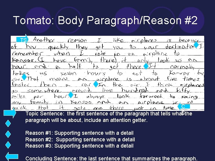 Tomato: Body Paragraph/Reason #2 TS C S Topic Sentence: the first sentence of the