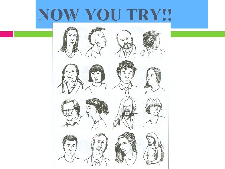 NOW YOU TRY!! American Sign Language - Vohrer 