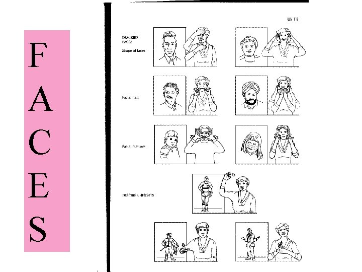 F A C E S American Sign Language - Vohrer 