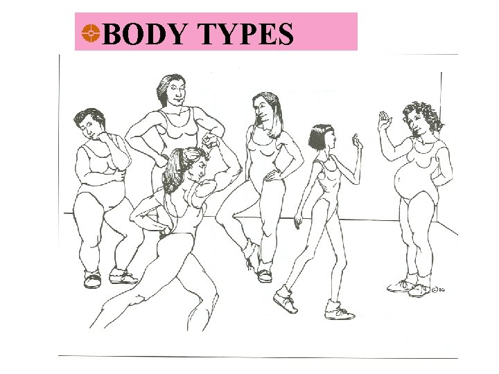 BODY TYPES American Sign Language - Vohrer 