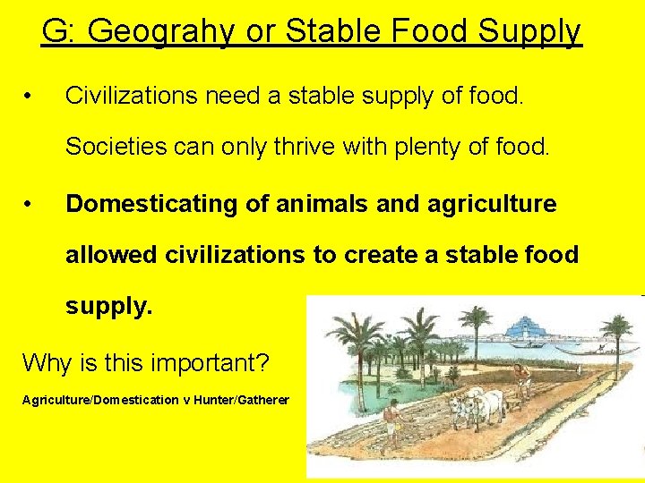G: Geograhy or Stable Food Supply • Civilizations need a stable supply of food.