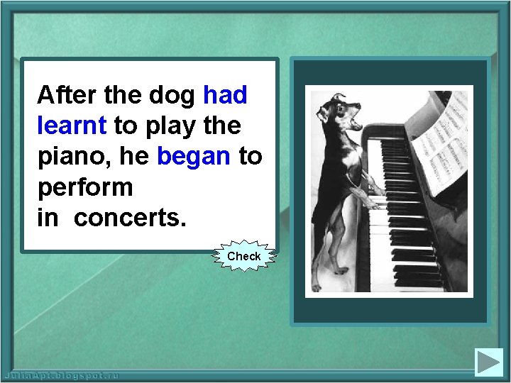 After the dog (to had learn) learnt to to play the piano, he he