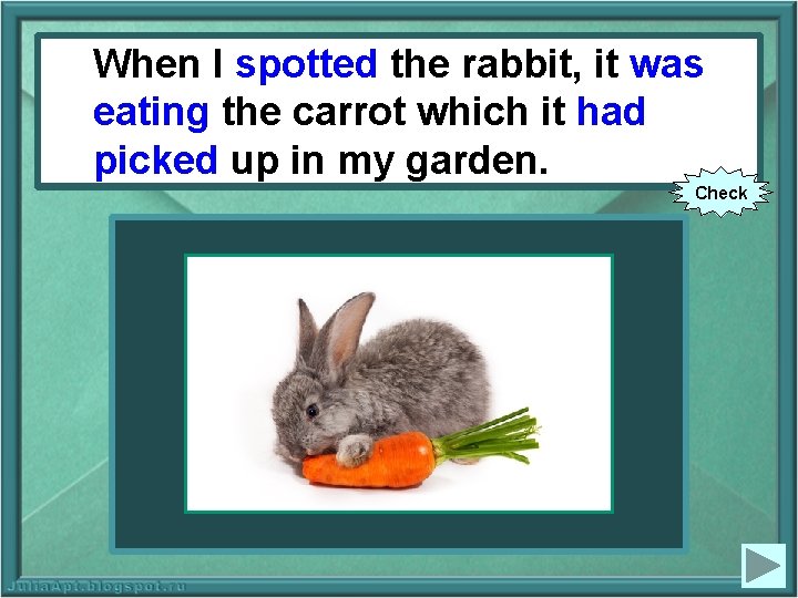 When I spotted thethe rabbit, it was When I (to spot) rabbit, it eating