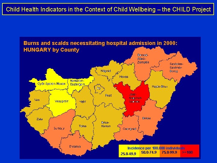 Child Health Indicators in the Context of Child Wellbeing – the CHILD Project Burns
