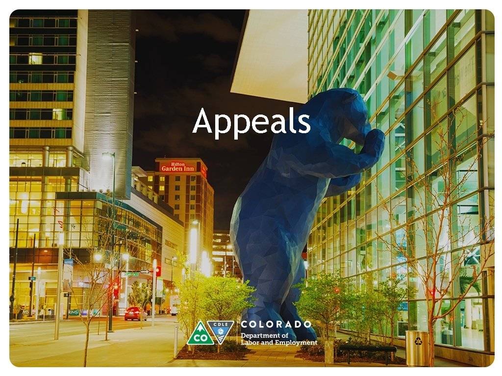 Appeals Appeals