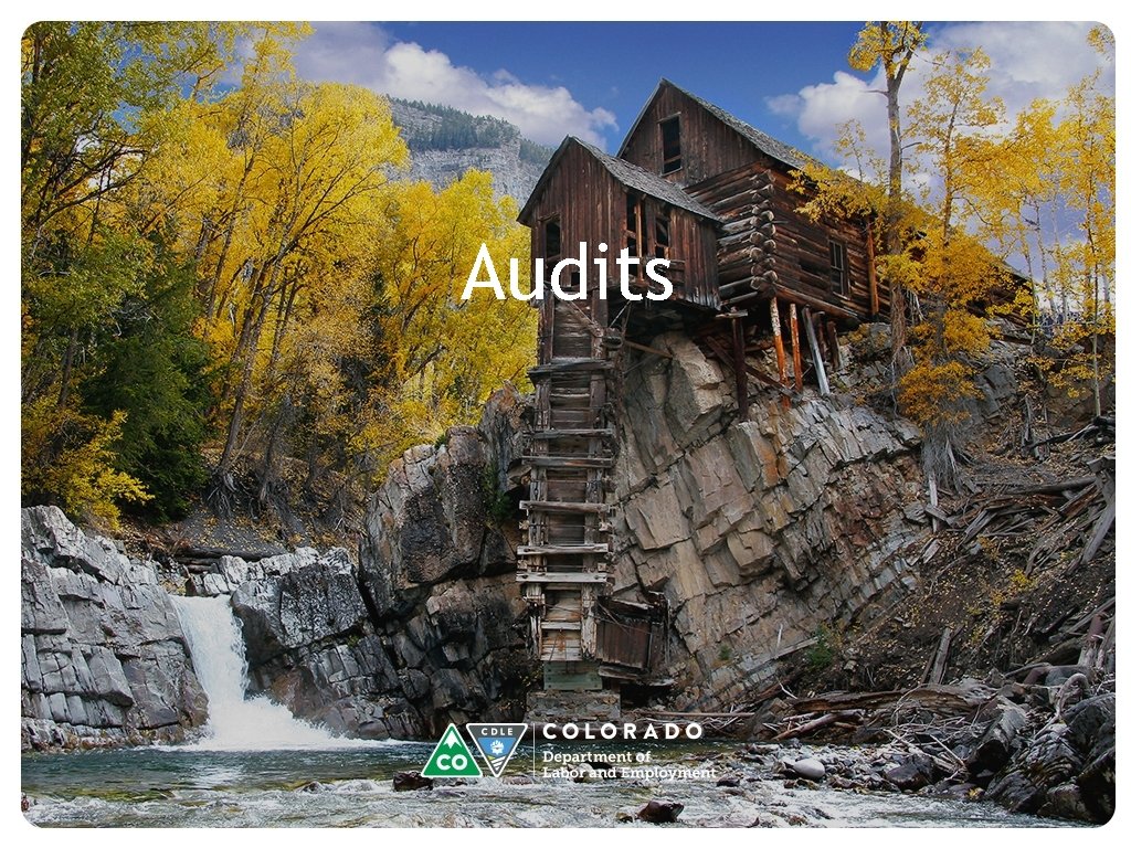 Audits Audits