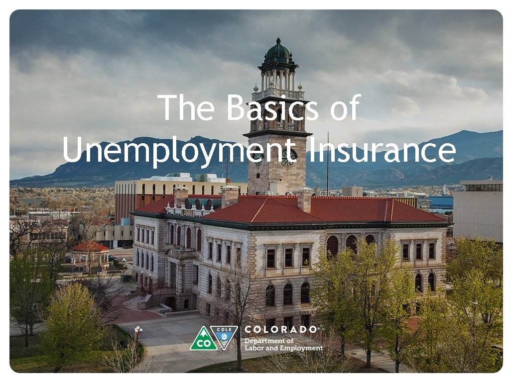The Basics of Unemployment Insurance Transition Slide Text Here The Basics of Unemployment Insurance Transition Slide Text Here
