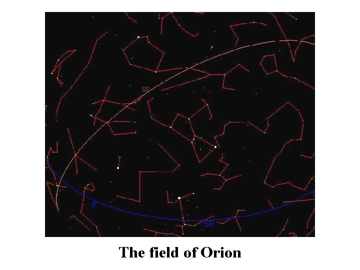 The field of Orion The field of Orion