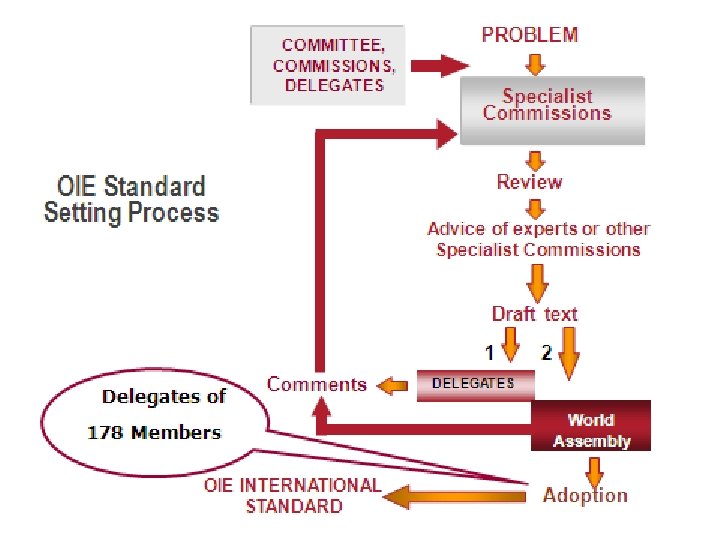 COMMITTEE, COMMISSIONS, DELEGATES OIE Standard Setting Process PROBLEM Specialist Commissions Review Advice of experts