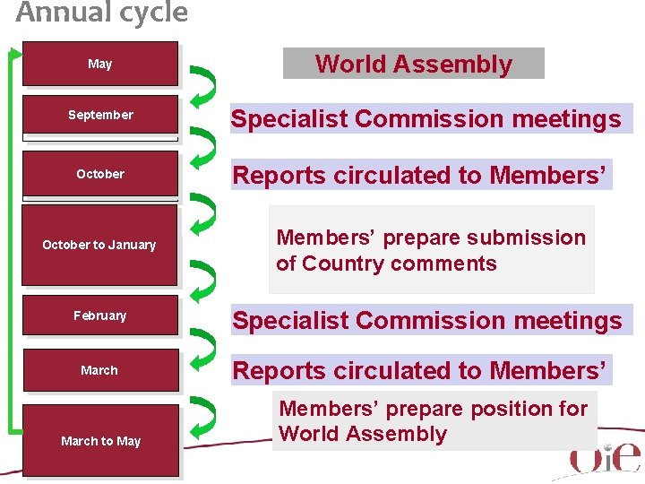 Annual cycle May September October World Assembly Specialist Commission meetings Reports circulated to Members’