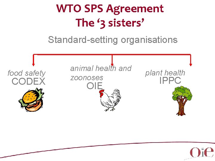 WTO SPS Agreement The ‘ 3 sisters’ Standard-setting organisations food safety CODEX animal health