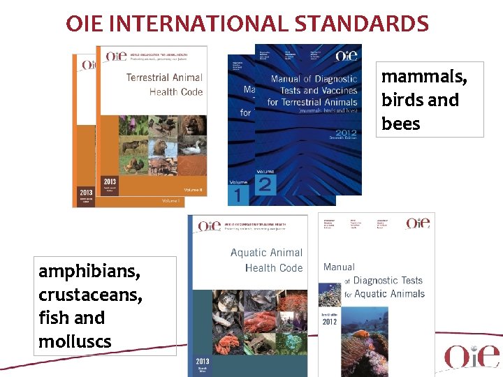 OIE INTERNATIONAL STANDARDS mammals, birds and bees amphibians, crustaceans, fish and molluscs 