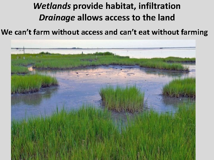 Wetlands provide habitat, infiltration Drainage allows access to the land We can’t farm without