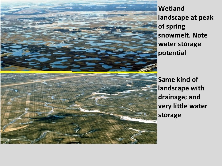 Wetlandscape at peak of spring snowmelt. Note water storage potential Same kind of landscape