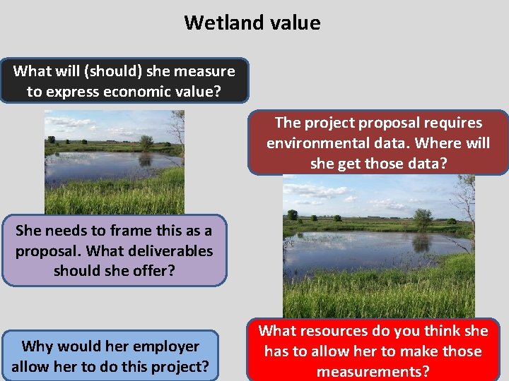 Wetland value What will (should) she measure to express economic value? The project proposal