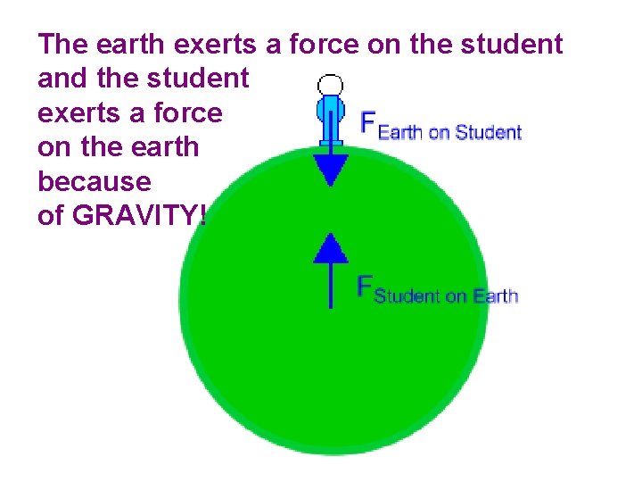 The earth exerts a force on the student and the student exerts a force