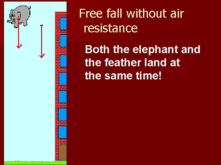 Free fall without air resistance Both the elephant and the feather land at the