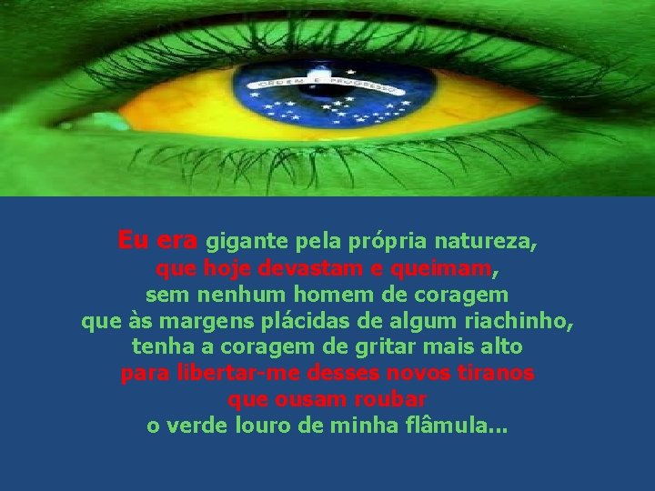 Eu era gigante pela própria natureza, que hoje devastam e queimam, sem nenhum homem