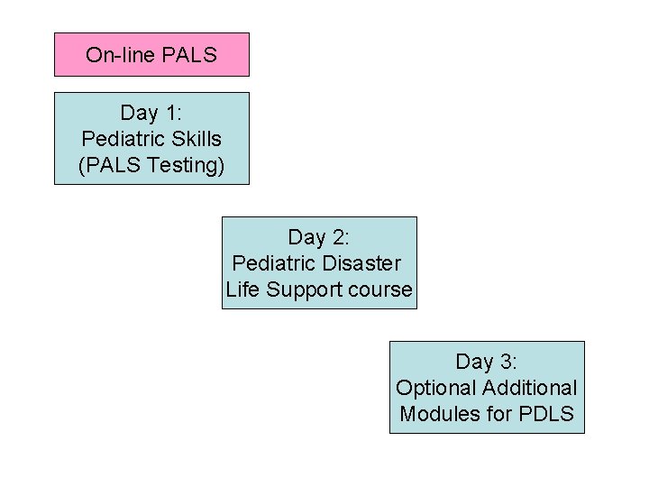 On-line PALS Day 1: Pediatric Skills (PALS Testing) Day 2: Pediatric Disaster Life Support