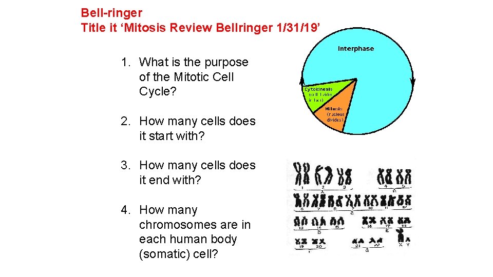 Bell-ringer Title it ‘Mitosis Review Bellringer 1/31/19’ 1. What is the purpose of the